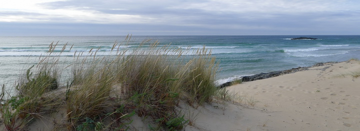 Strand